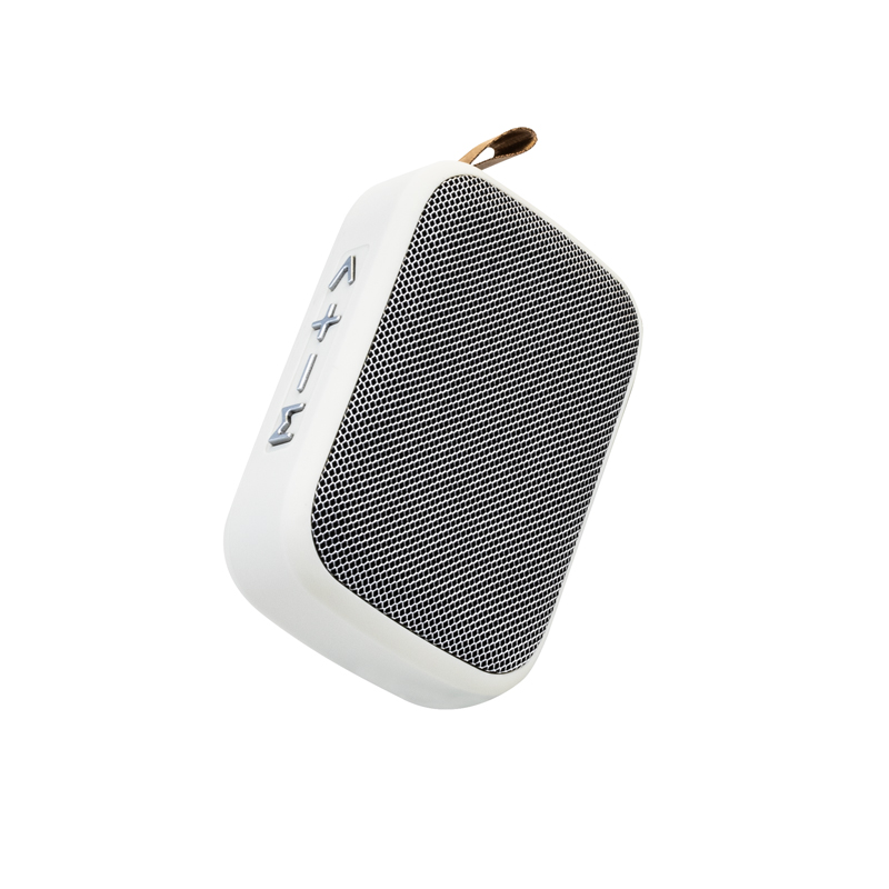 WEKOME D20 - Przenośny bezprzewodowy głośnik Bluetooth V5.0 (Biały)