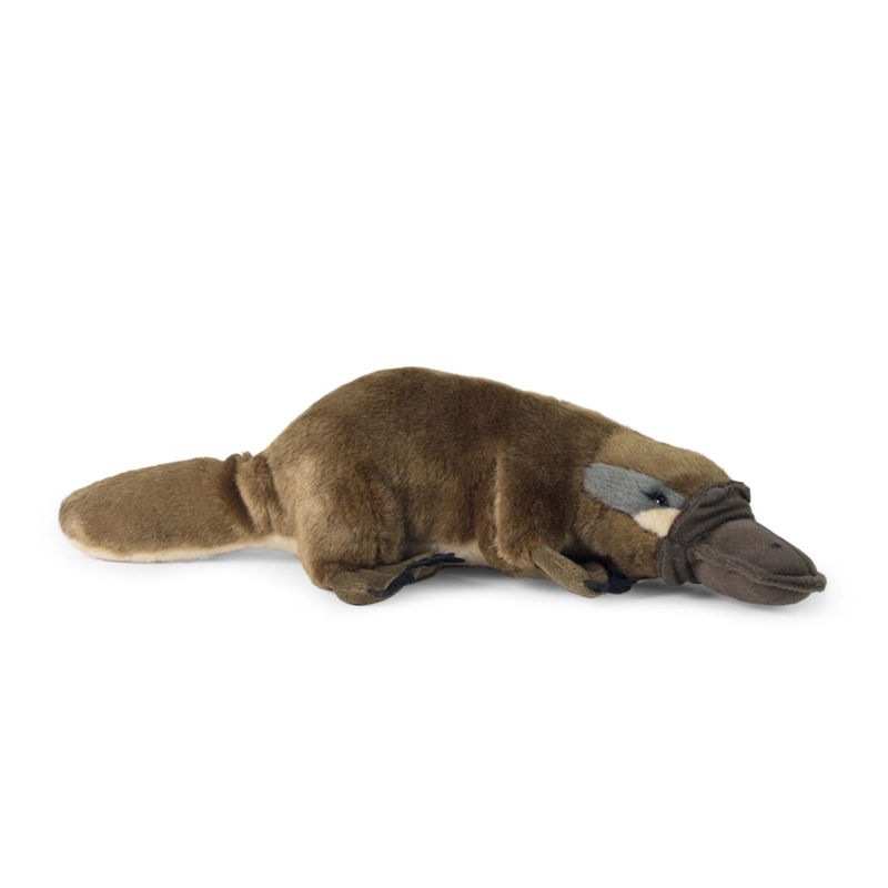 Rappa - Pluszowa realistyczna maskotka Dziobak 30 cm Eco-Friendly