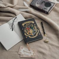 Harry Potter - Notatnik / Notes A5 z długopisem Hogwarts