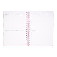 Pusheen - Planner 2019/2020 (14 x 16 cm)