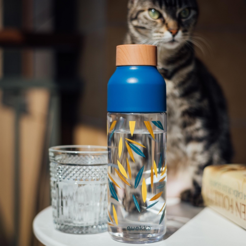 Quokka Ice - Butelka na wodę ecozen 720 ml (Bamboo)